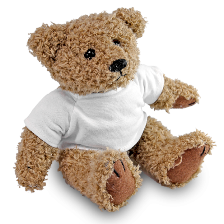 Teddybär 22 inkl Combishirt