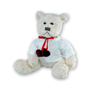 Teddybär Herz inkl Combishirt