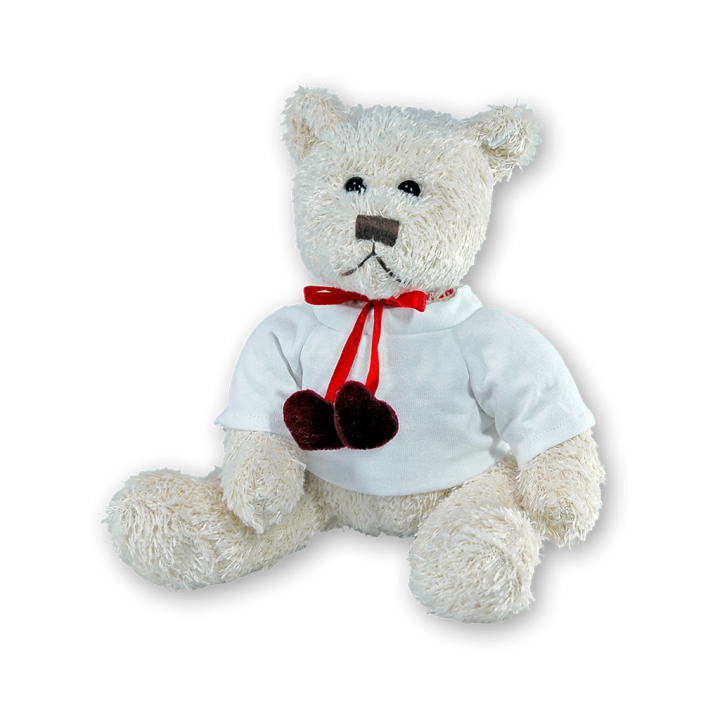 Teddybär Herz inkl Combishirt